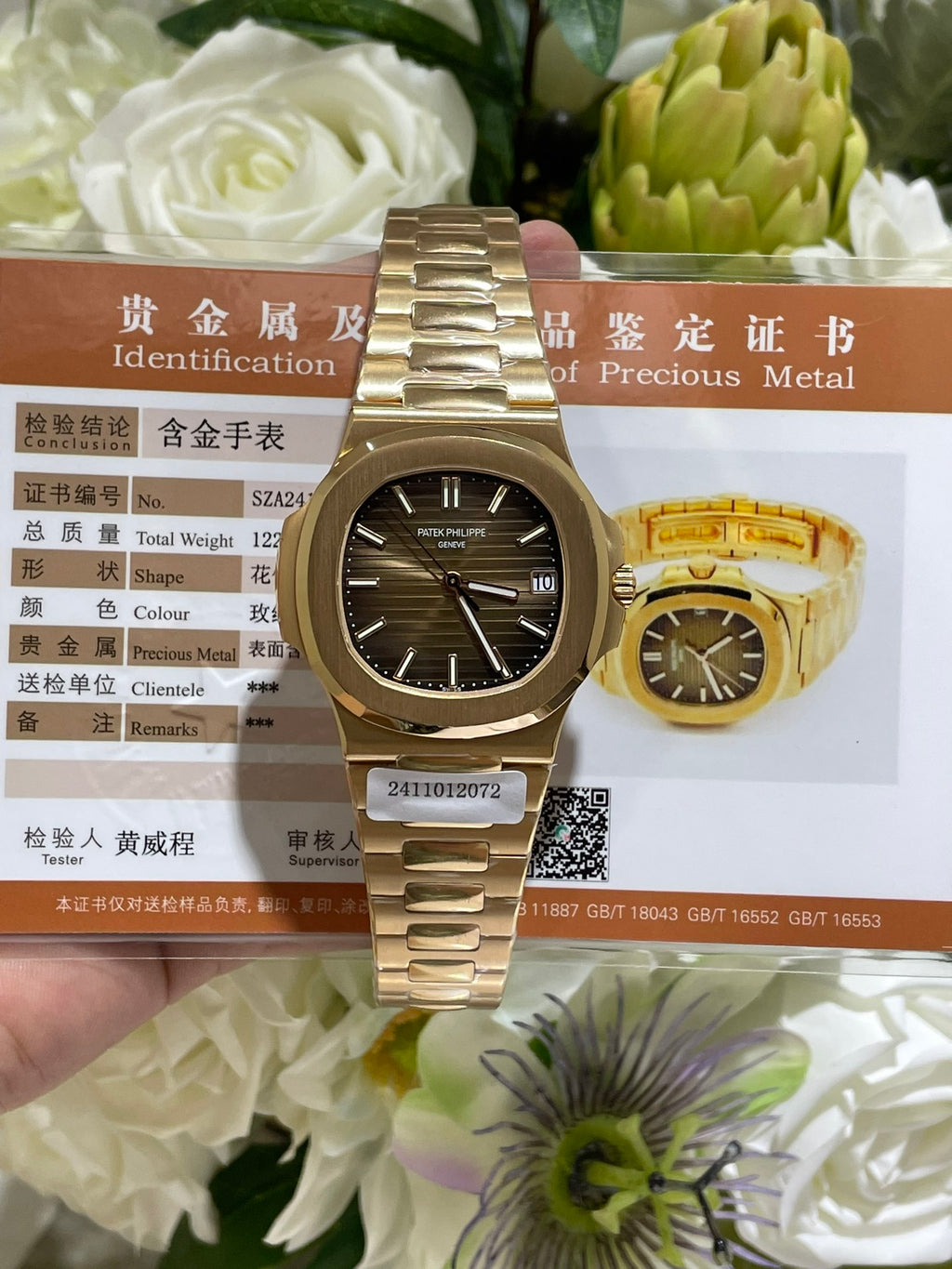 18K包金版P鹦鹉螺