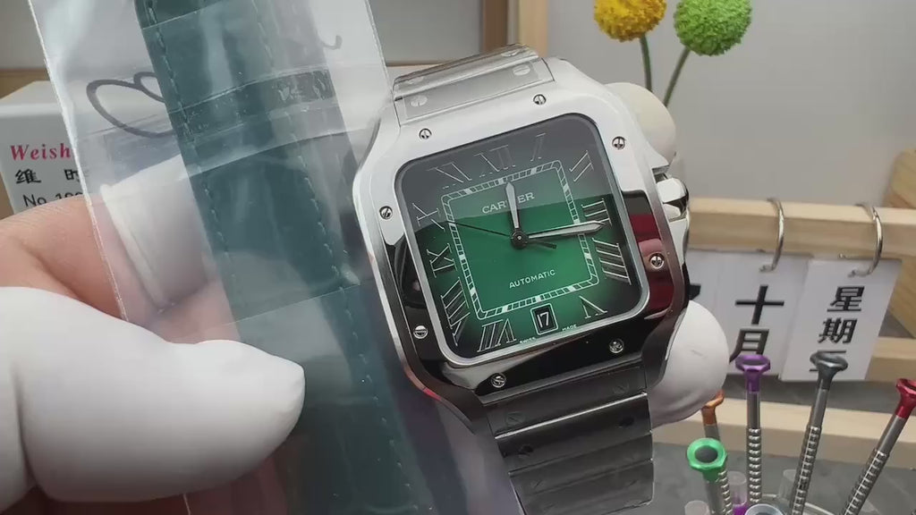 BV Green Faced Mountain Dushi