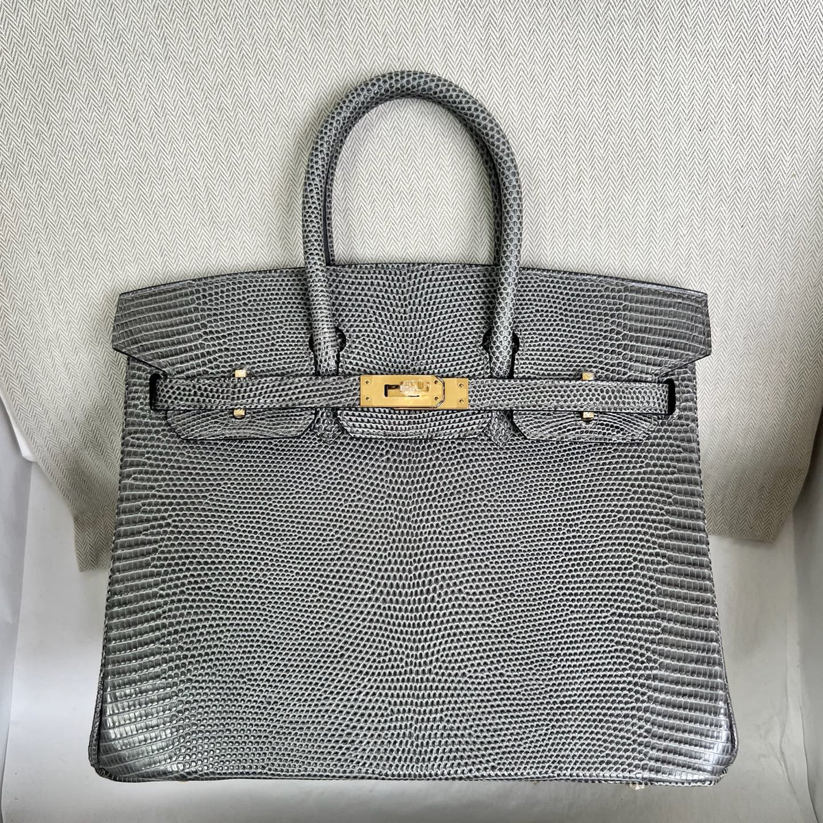 Birkin 25cm Lizard