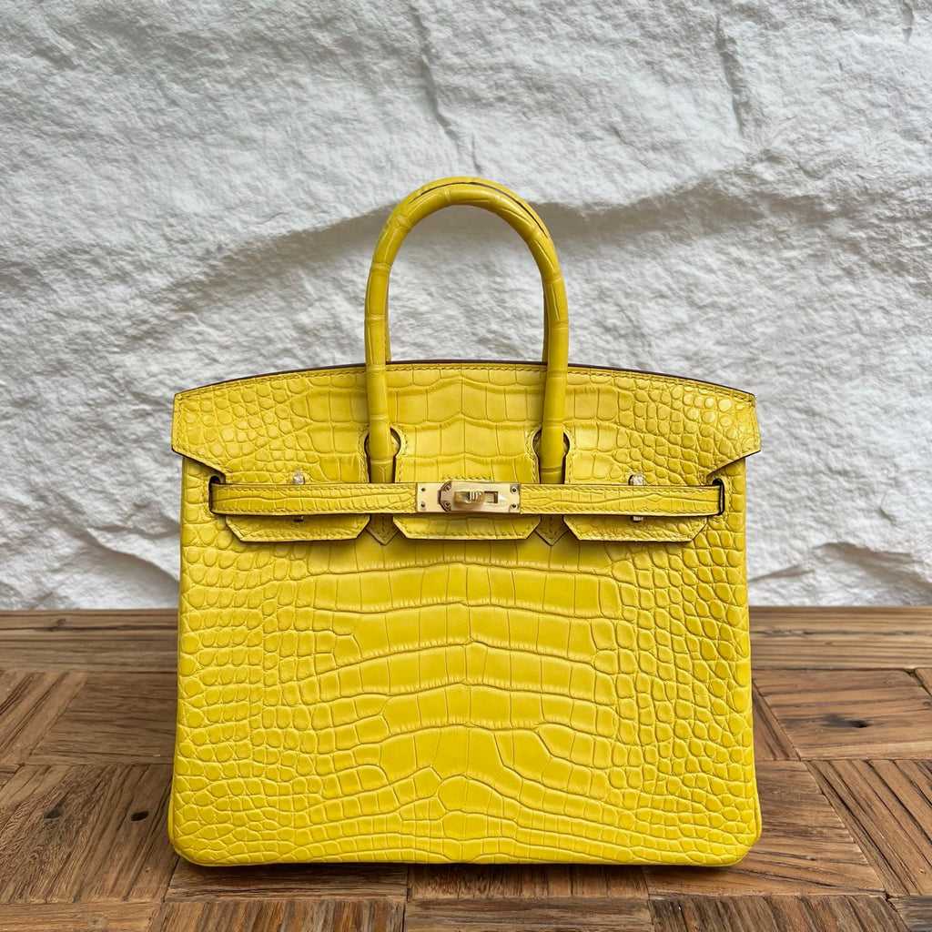 Birkin 25cm Misty American Crocodile