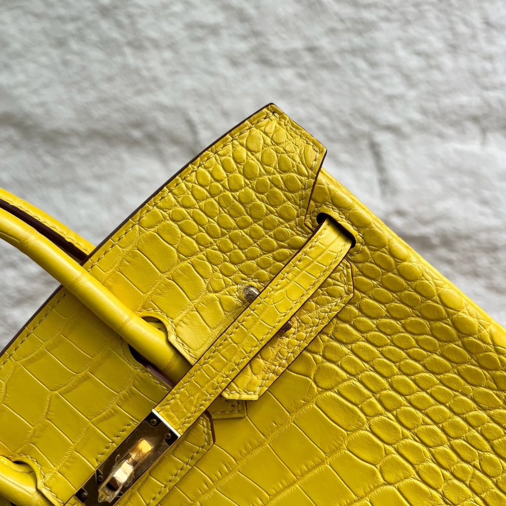Birkin 25cm Misty American Crocodile