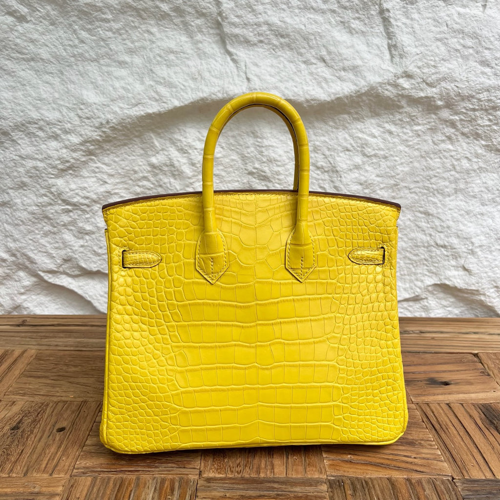 Birkin 25cm Misty American Crocodile