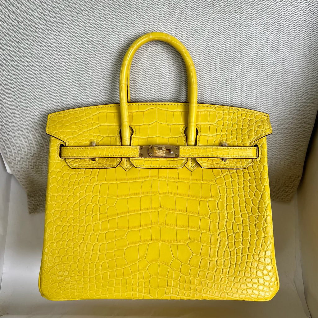 Birkin 25cm Misty American Crocodile