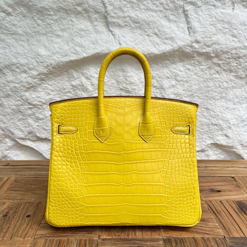 Birkin 25cm Misty American Crocodile