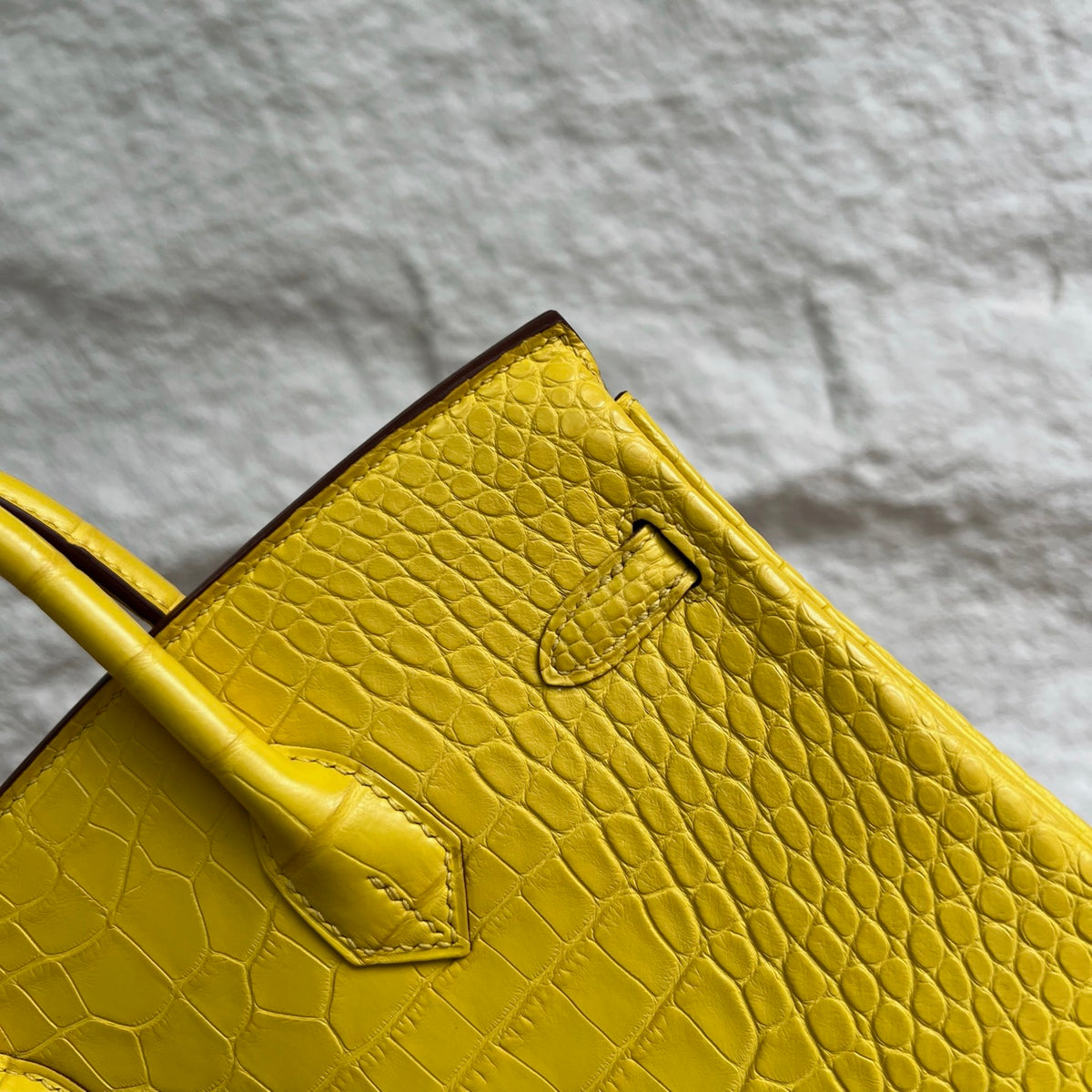 Birkin 25cm Misty American Crocodile