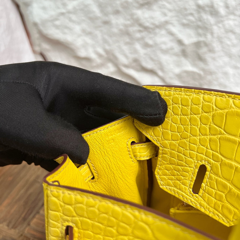 Birkin 25cm Misty American Crocodile