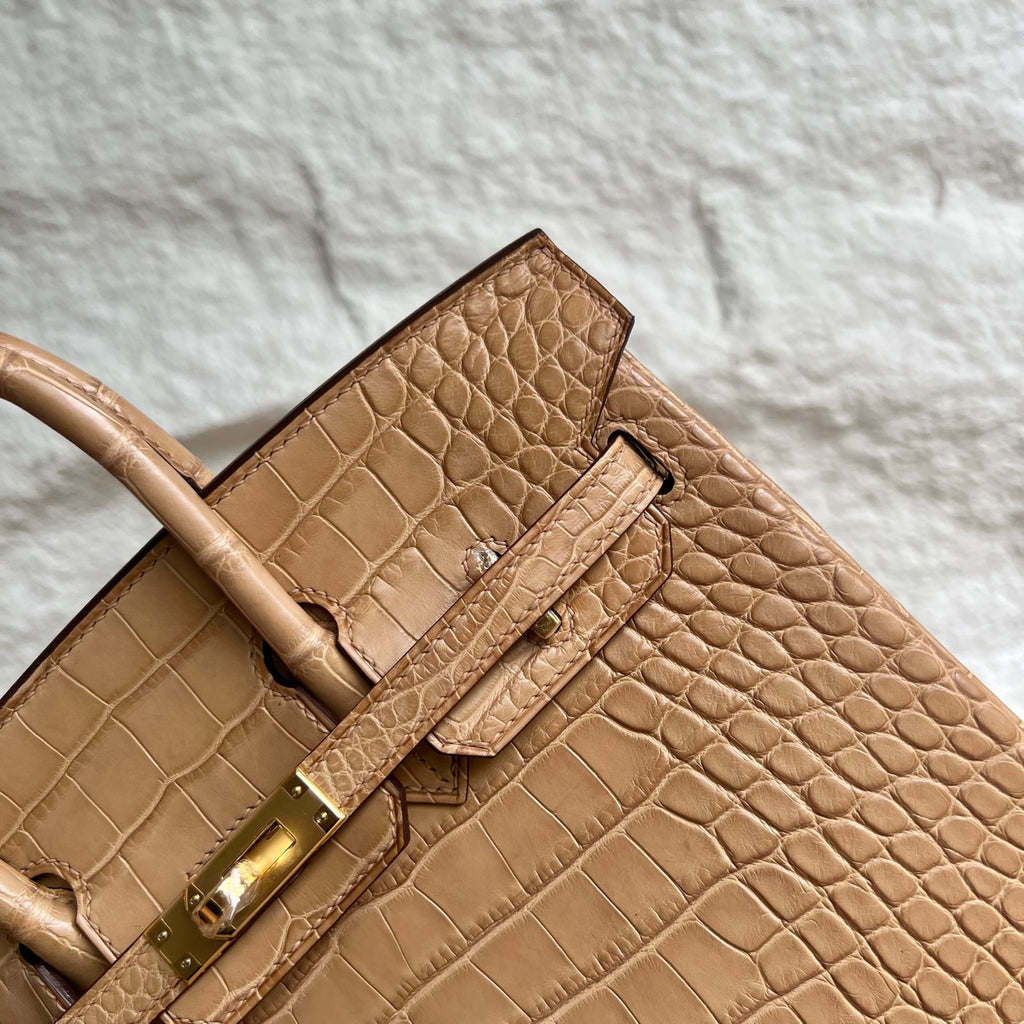 Birkin 25cm Misty American Crocodile