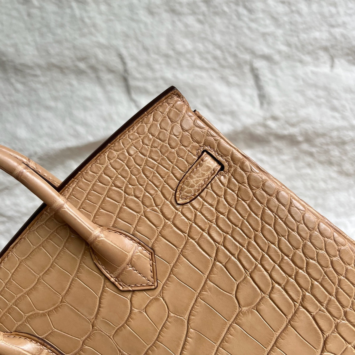 Birkin 25cm Misty American Crocodile