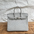 Birkin 25cm Ostrich