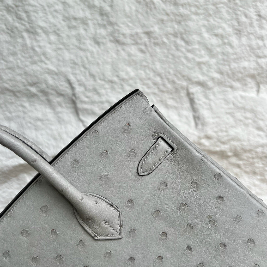 Birkin 25cm Ostrich