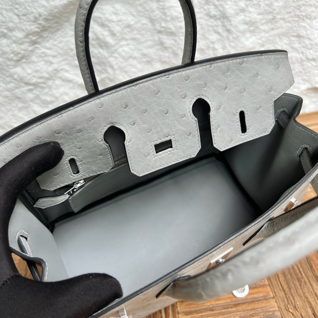 Birkin 25cm Ostrich