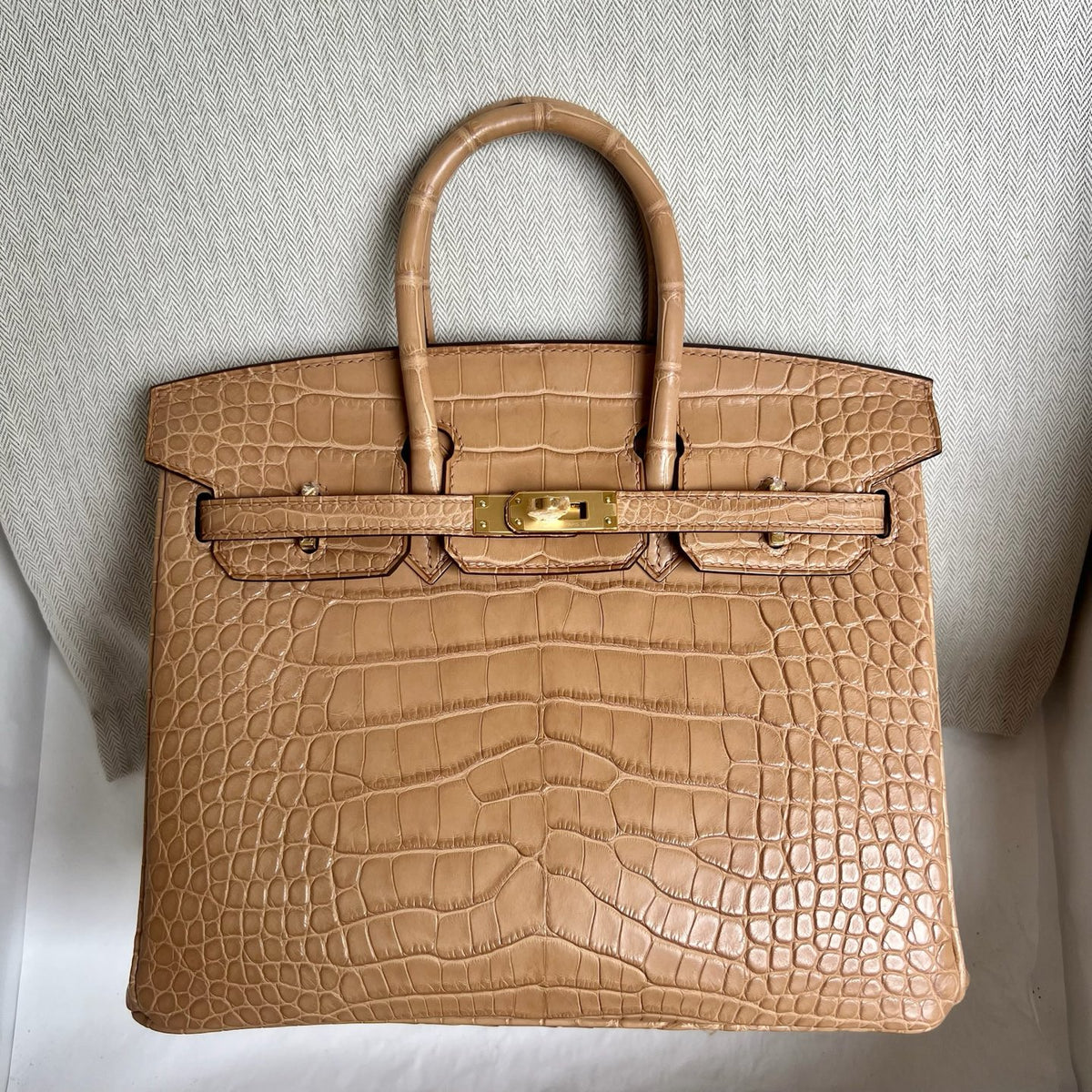 Birkin 25cm Misty American Crocodile