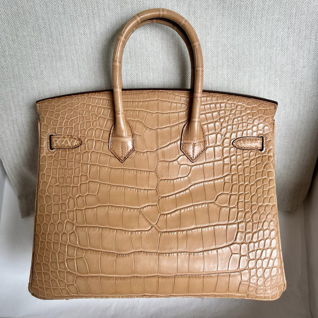 Birkin 25cm Misty American Crocodile
