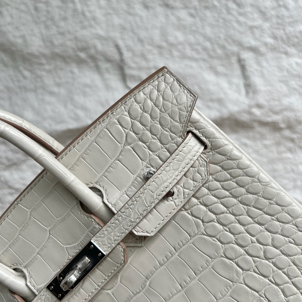 Birkin 25cm Misty American Crocodile