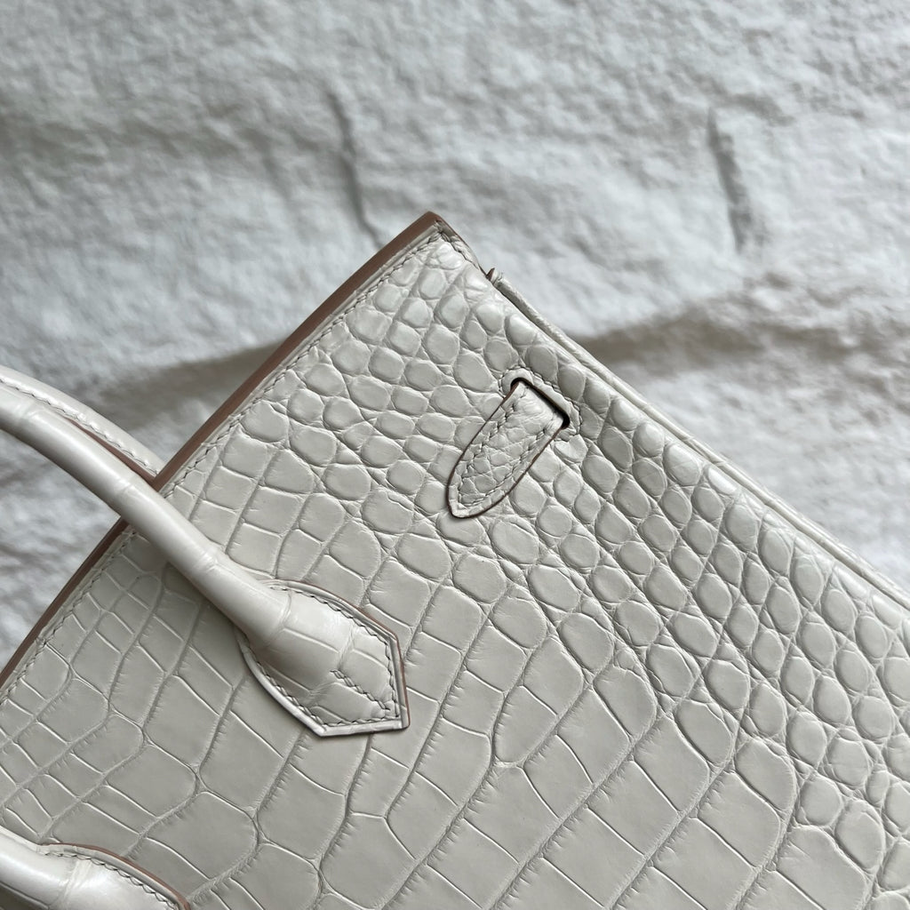 Birkin 25cm Misty American Crocodile