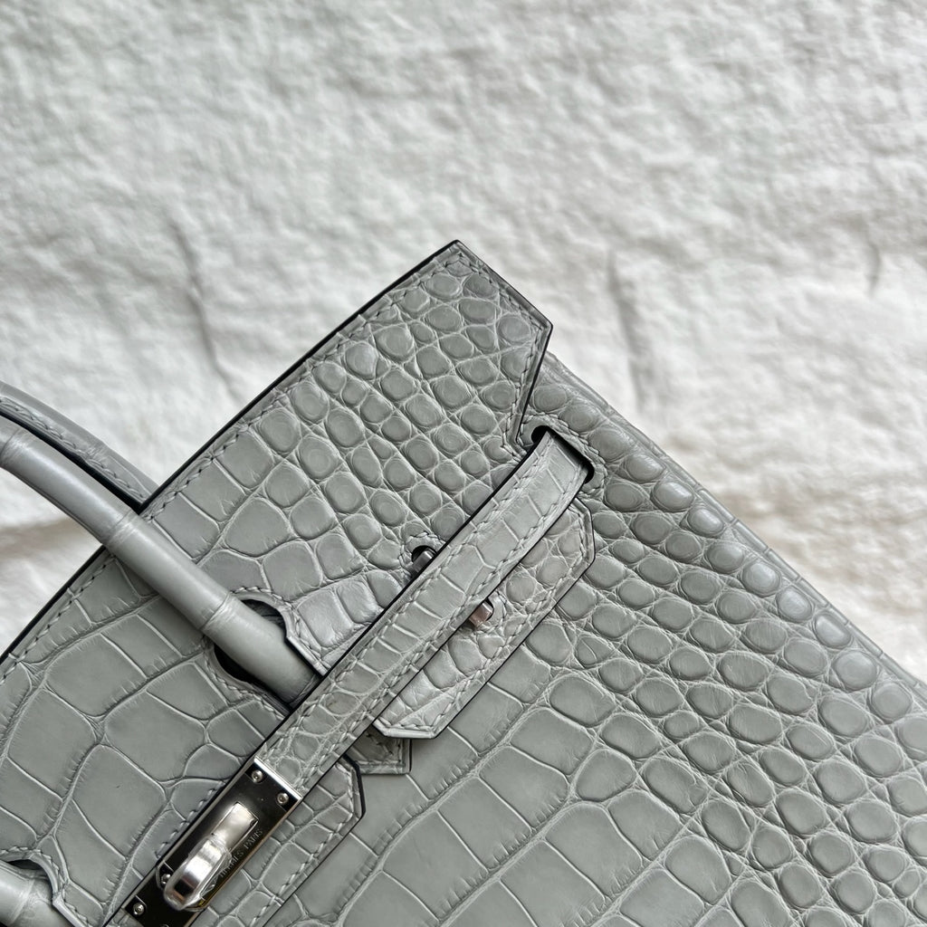 Birkin 25cm Misty American Crocodile