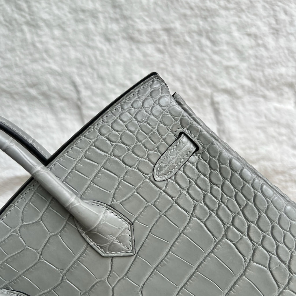 Birkin 25cm Misty American Crocodile