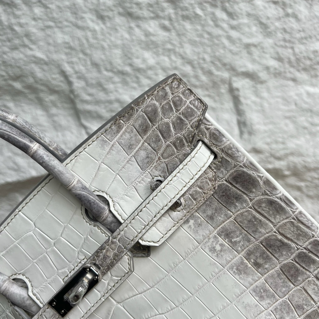 Birkin 25cm Himalayan