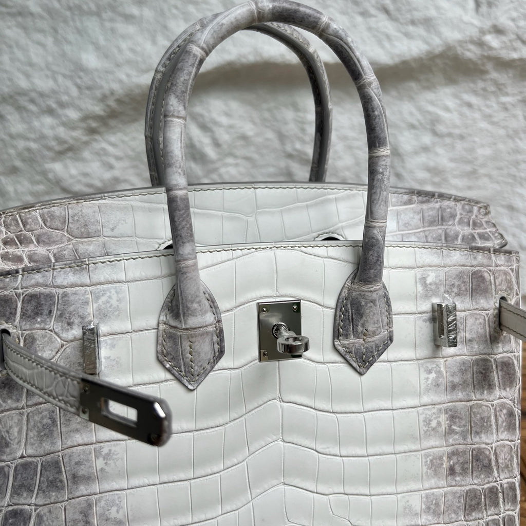 Birkin 25cm Himalayan