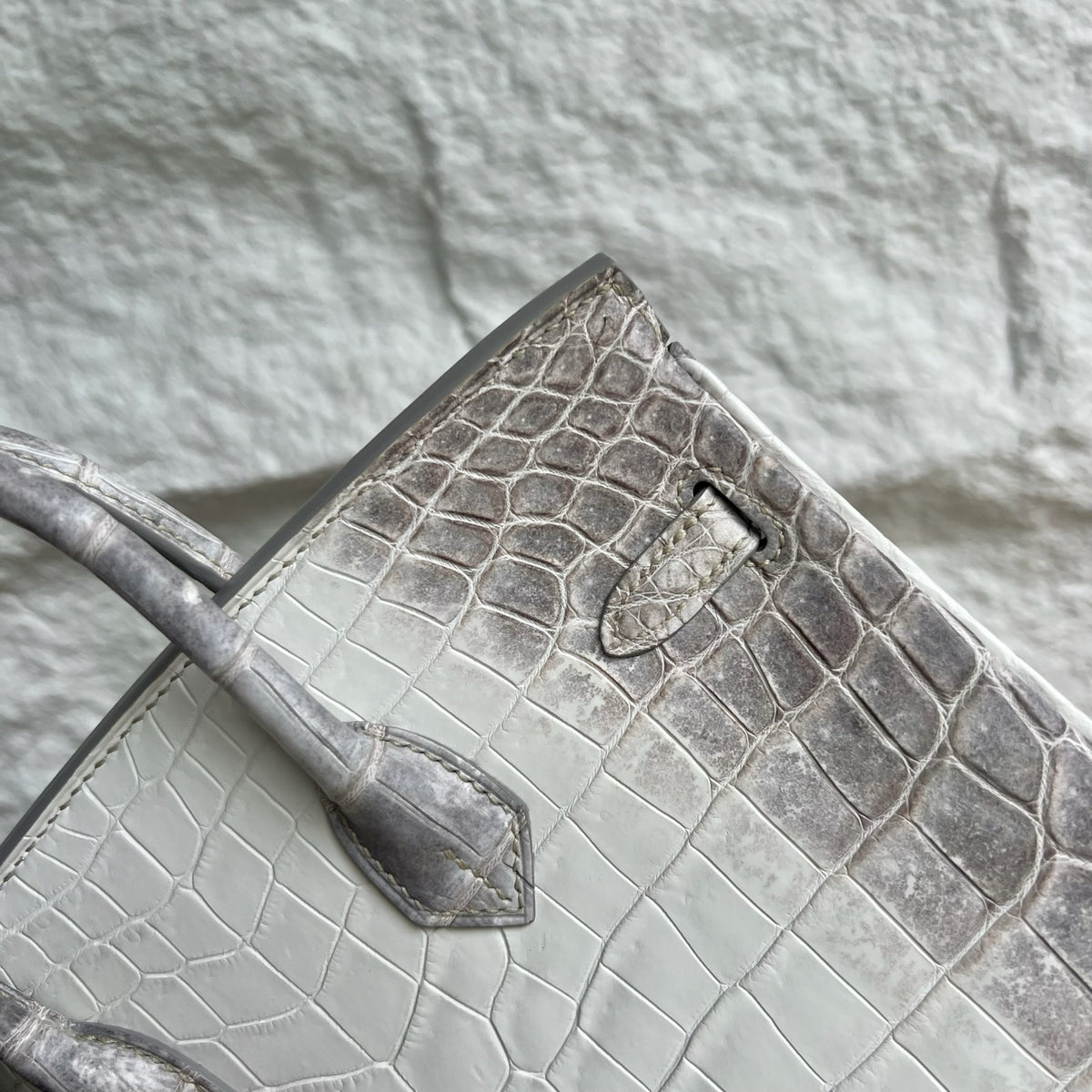 Birkin 25cm Himalayan