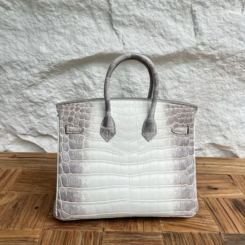 Birkin 25cm Himalayan