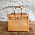 Birkin 25cm Lizard imported glossy lizard skin