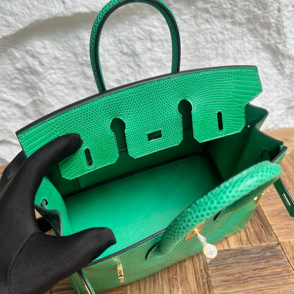Birkin 25cm Lizard imported glossy lizard skin