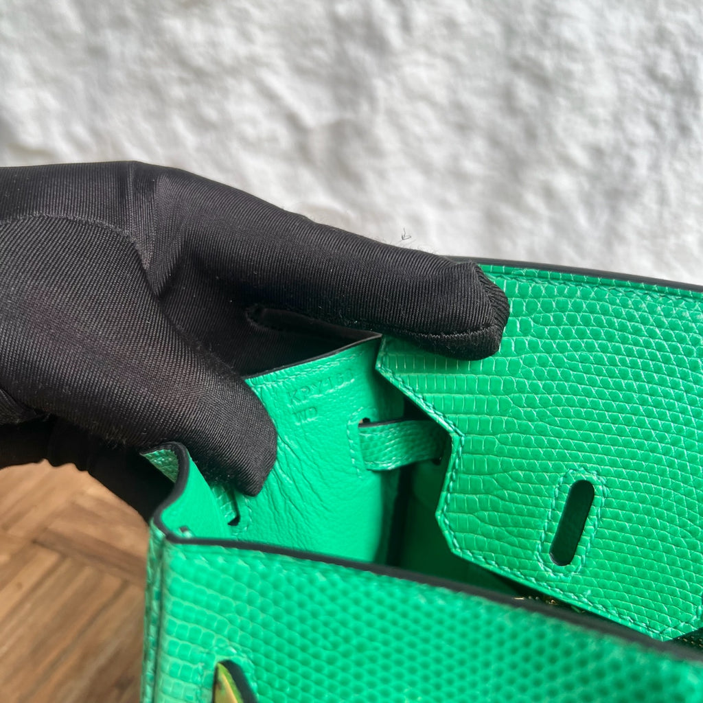 Birkin 25cm Lizard imported glossy lizard skin