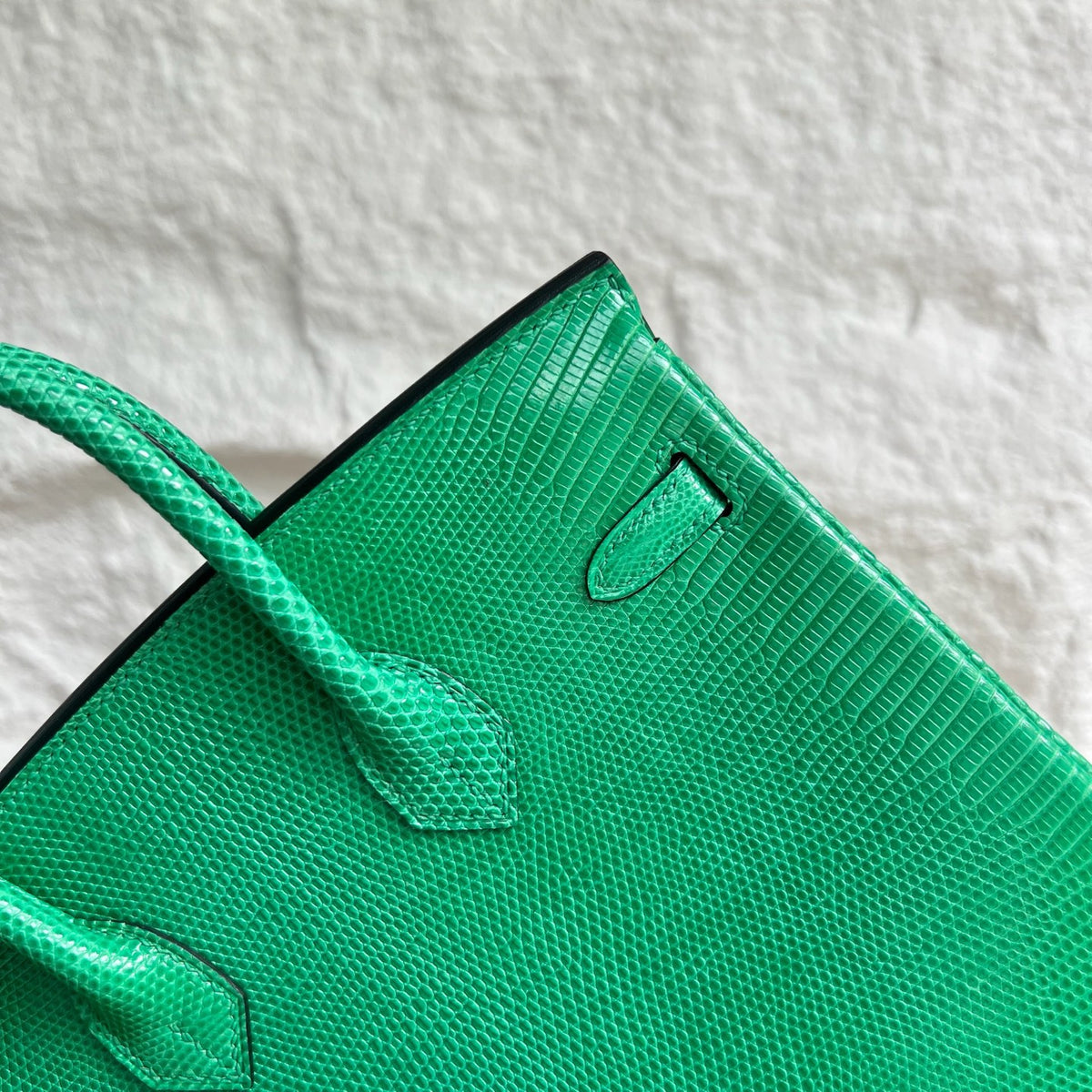 Birkin 25cm Lizard imported glossy lizard skin