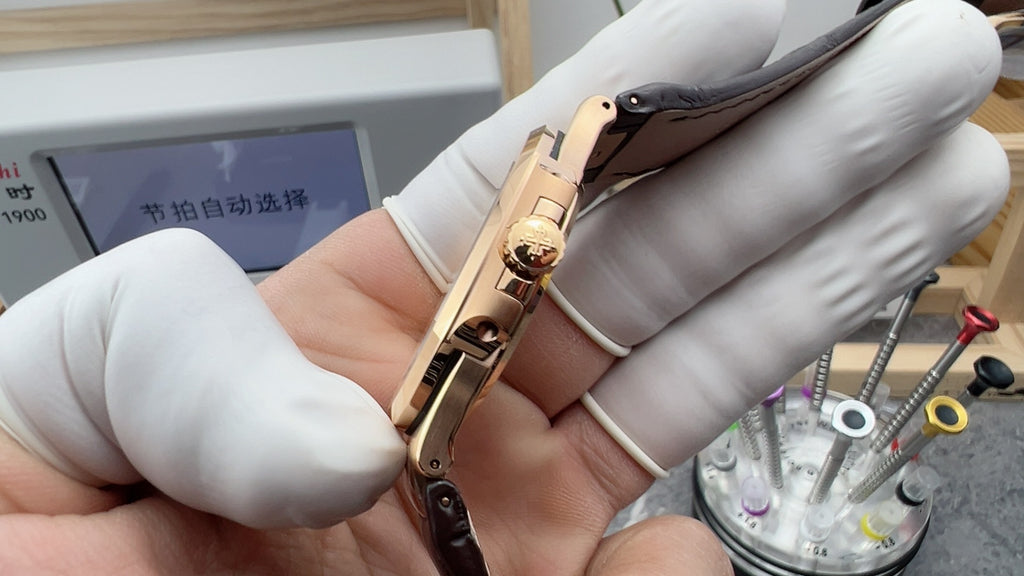 皮金鹦鹉
