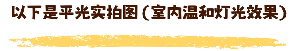 55-01灰